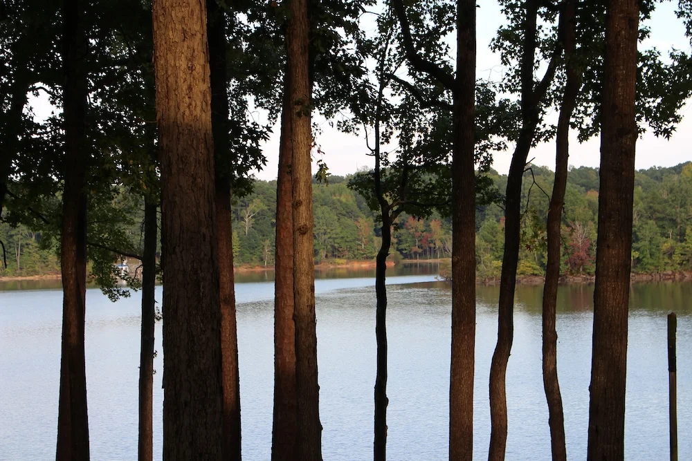 South Hill Property Management